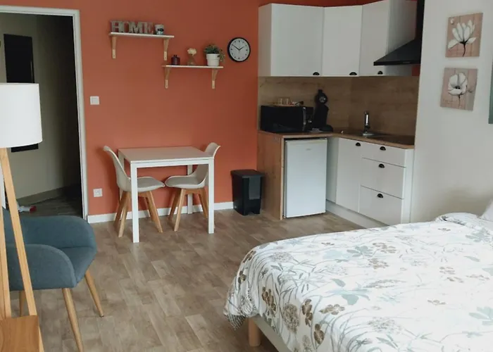 Superbe Grand Studio Tout Confort Avec Exterieur